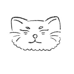 Kitty fluffy
