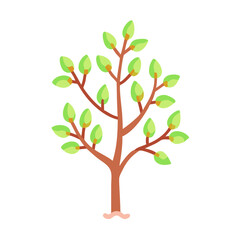 Obraz premium Light green tree with soft leaves and orange trunk