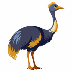 Emu Illustration on White Background A Vector Design Featuring a Detailed Emu Perfect for Educational Materials and Wildlife Themed Projects