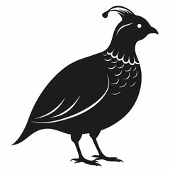 Quail Silhouette Vector Illustration on White Background Simple Bird Outline Design Wildlife Graphic Element Farm Animal Icon Poultry Symbol