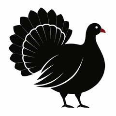 Turkey Silhouette Vector Illustration on White Background for Thanksgiving or Farm Animal Designs Suitable for Various Creative Projects and Holiday