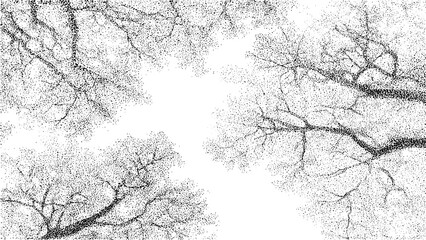 Black and white silhouette of tree branches abstract forest design in pointillism technique overhead top view vector on transparent background natural ink textured artistic composition.