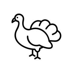 Turkey Bird Icon Outline – Farm Animal Line Art for Thanksgiving and Nature