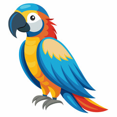 Vibrant macaw illustration on a clean white background showcasing detailed vector design with bright tropical colors and precise lines for