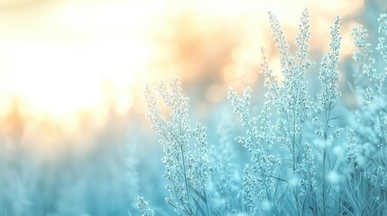 Blurred background of tall grasses at sunset with light blue and white ethereal sky, swaying wildflowers in gentle breeze conveying tranquility and harmony with nature in high-resolution photography