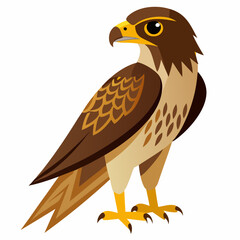 Detailed Hawk Vector Illustration on White A Striking Bird of Prey Design for Various Creative Projects and Visual Communication Needs