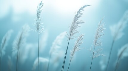 Blurred background of tall grasses at sunset with light blue and white ethereal sky, swaying wildflowers in gentle breeze conveying tranquility and harmony with nature in high-resolution photography