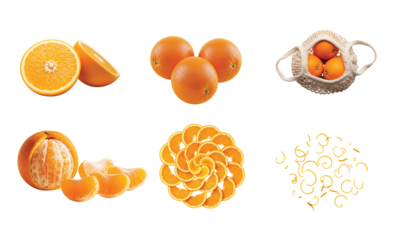 A comprehensive visual representation of oranges, including halves, whole fruits, peeled segments, a spiral arrangement of slices, and orange zest, highlighting its freshness and culinary uses