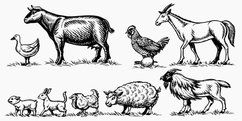 Monochrome Illustration of Farm Animals and Wildlife in a Field Drawn with Ink for a Vintage Look and Feel