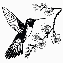Black hummingbird with spread wings flutters near flowering branches in black silhouette