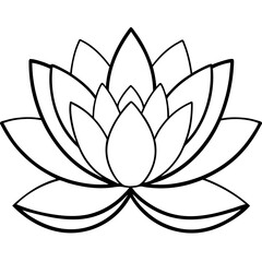 Elegant water lily illustration on a clean white backdrop showcasing vibrant colors and detailed vector design elements suitable for various