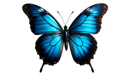 Beautiful blue butterfly wings with intricate detail on black background on transparent background