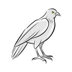 Obraz premium White bird with sharp beak line illustration
