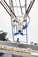 Robot manipulator for food production