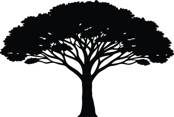 acacia tree silhouette vector