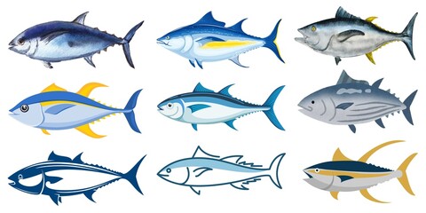 Bluefin tuna Thunnus thynnus saltwater fish | Atlantic tuna fish