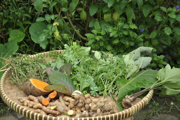The benefits of traditional turmeric and ginger herbal medicine for health, ranging from...