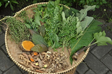 The benefits of traditional turmeric and ginger herbal medicine for health, ranging from...