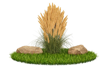 Rock surrounded by green grass and a silver bush.