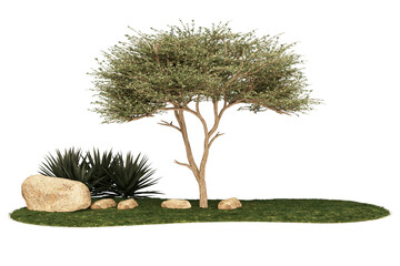 Tree grass and rocks.