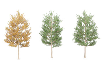 Three green evergreen trees.