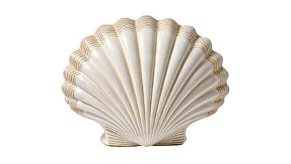 Scallop shell close up photo of a white seashell perfect for summer beach and ocean themed backgrounds