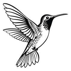 Obraz premium Detailed black and white hummingbird with patterned wings showcases delicate design