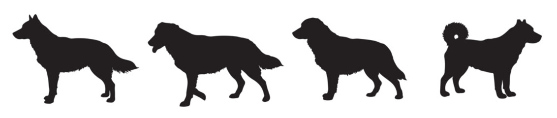 Dog breeds silhouettes 