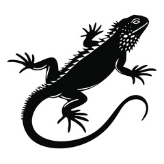 Detailed black silhouette shows a lizard with spiky scales and curling tail