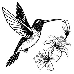 Detailed hummingbird with outstretched wings flies toward beautiful flower in black and white