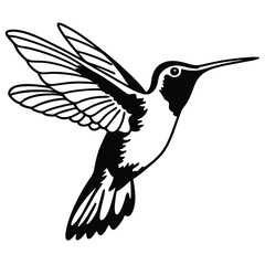 Elegant hummingbird silhouette soars with grace as its wings beat in mid air