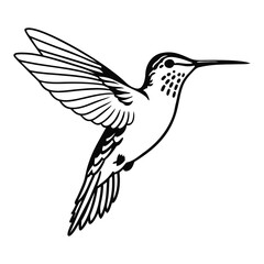 Hummingbird soars with outlined detail displaying its extended wings and detailed black accents