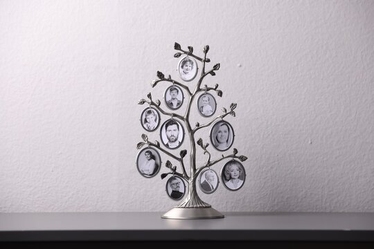 Family tree photo frame on black counter near white wall