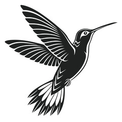 Obraz premium hummingbird soars with wings spread, creating a striking and elegant silhouette