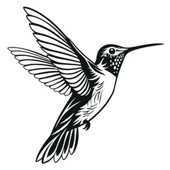 illustration shows a hummingbird with detailed wings and body markings in black