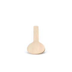 Wooden Spoon Isolated on Transparent Background