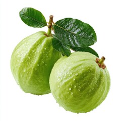 Two fresh green guava fruits with leaves