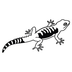 Line art shows a gecko with stripes on its tail and the body