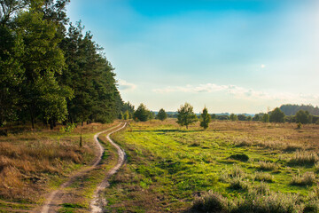 Fototapeta premium road in the field