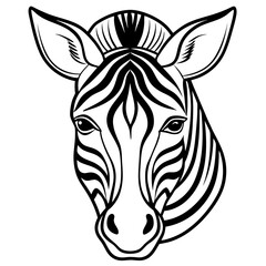 Zebra Head Line Art Illustration on White Background Detailed Black and White Drawing Animal Design Wildlife Theme Stripped Pattern