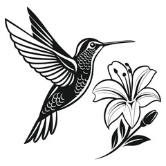 Monochrome hummingbird gracefully hovers beside a lily flower in a simple but detailed vector