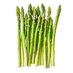 Fresh Green Asparagus Spears Vibrant Vegetable Healthy Eating Culinary Photography Food Styling Recipe Ingredient Spring Produce isolated on transparent background