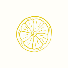 Vector doodle illustration of citrus fruit lemon