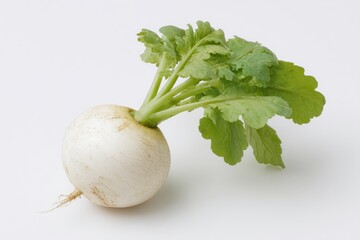 White radish with green leaves (1)