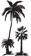 Palm tree silhouette on the beach by the sea for summer vacation , black silhouettes isolated on white background