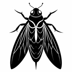 Cicada Silhouette Illustration on White Background for Banner or Advertisement Design with Black White and Grayscale Color Palette