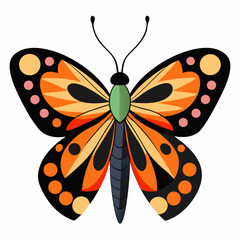 Delicate butterfly illustration with vibrant colors on a clean white background perfect for spring nature and design projects
