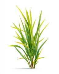 Obraz premium Bright green grass tuft against white