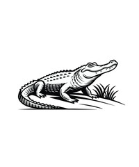 alligator line art vector illustration