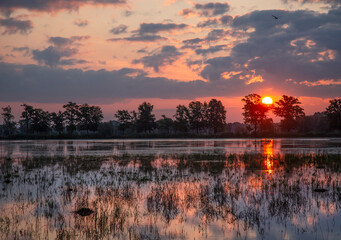 Wiosenny, kolorowy wschód słońca nad stawem, tapeta, dekoracja. © mycatherina